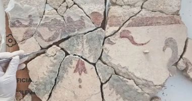 علماء الآثار يكتشفون 4000 قطعة جدارية تعود إلى القرن الثاني في إسبانيا الجدارية الأثرية