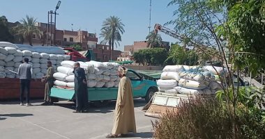 شون وصوامع الأقصر تفتح أبوابها لاستقبال أطنان القمح فى الموسم الجديد.. صور