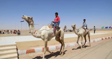 سباق بغداد للهجن.. رياضة سنوية تراثية بالوادى الجديد دعمتها المحافظة لتخريج أبطال ونجوم تصدروا سباقات المنافسات الدولية بتفوق.. والانتهاء من تنفيذ أكبر نادى للهجن والفروسية بمواصفات عالمية وتجهيز أول سباق دولى