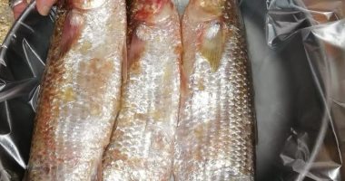 نبروه عاصمة صناعة الفسيخ في مصر.. مصدر دخل رئيسي للعديد من الأهالي.. صور