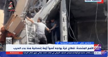 أستاذ علوم سياسية: العدوان الإسرائيلى على غزة كشف هشاشة النظام الدولي