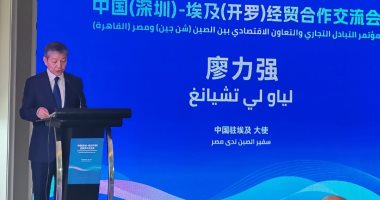 السفير الصيني: العلاقات الاقتصادية بين بكين والقاهرة تعيش "العصر الذهبي"