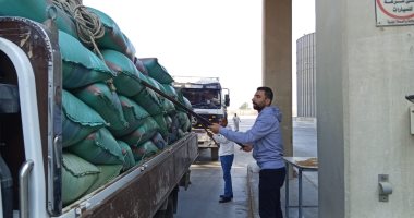 شون وصوامع المنيا تستقبل 16630 طنا من القمح ضمن موسم حصاد 2025