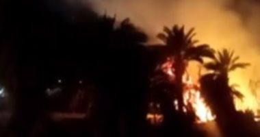 السيطرة على حريق فى زراعات النخيل بأسوان دون إصابات