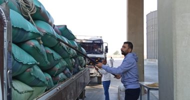 شون وصوامع المنيا تستقبل 21038 طنا من القمح ضمن موسم حصاد 2025