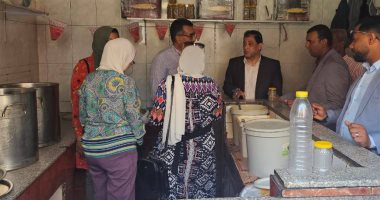 بيطرى الأقصر: ضبط 746 كيلو فسيخ وأسماك مملحة غير صالحة فى شم النسيم