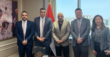 وزير الكهرباء يبحث مع "سانجرو الصينية" التعاون فى مجالات تصنيع مهمات الطاقة المتجددة