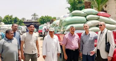 توريد 9 آلاف طن من القمح إلى الشون والصوامع بسوهاج جانب من التوريد