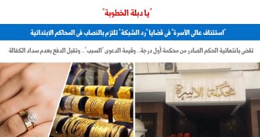 الاستئناف فى قضايا "رد الشبكة" تلتزم بالنصاب فى المحاكم الابتدائية.. برلمانى