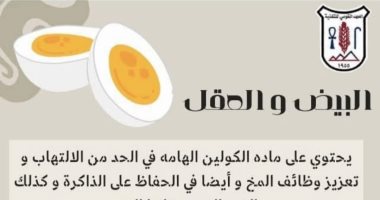 معهد التغذية يكشف فوائد وأهمية البيض لتغذية المخ .. انفوجراف البيض