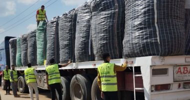 تضامن المنوفية: توزيع 40 ألف كيلو بطاطس على 4 آلاف أسرة أولى بالرعاية