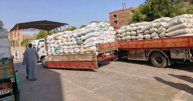 كفر الشيخ: توريد 35258 طنا من القمح بصوامع كفر الشيخ توريد القمح - أرشيفية