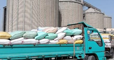 صوامع الشرقية تستقبل 9799 طنا من محصول القمح