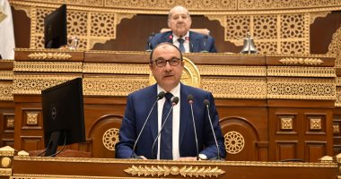 محمد شيمى: 74 مليار جنيه حجم الإيرادات المتوقعة للقابضة المعدنية العام المقبل وزير قطاع الأعمال