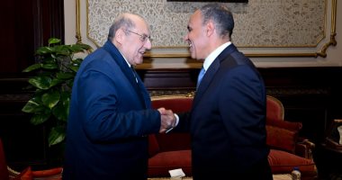 وزير الخارجية والهجرة يلتقى رئيس مجلس الشيوخ.. صور