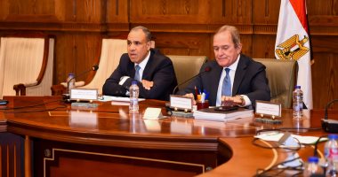 وزير الخارجية يشدد على رفض مصر الكامل لتهجير الفلسطينيين من أرضهم