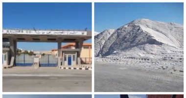 شركات وزارة قطاع الأعمال العام تواصل دعمها لمشروعات التنمية في أرض الفيروز صور