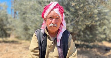 "الزيتونة التي لم تنحنِ".. حكاية سيناوى صمد في وجه الاحتلال والإرهاب ليُعمّر أرض أجداده.. والده قاوم محاولة إسرائيل شراء الأرض.. وصمد في وجه الإرهابيين واستُشهد نجله ونجا من محاولتي اغتيال.. صور العم عياد