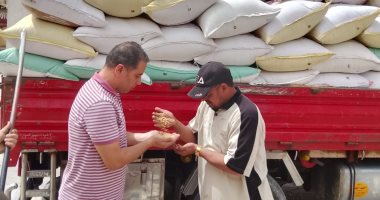 محافظة الجيزة: توريد 2000 طن قمح حتى الآن.. وإضافة مواقع استلام إضافية