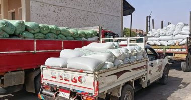 تموين الأقصر تعلن استمرار توريد محصول القمح خلال الأجازات والعطلات دون توقف.. صور