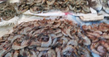جمبرى جامبو وبورى.. شاهد انتعاش حركة بيع الأسماك فى أسواق الإسكندرية