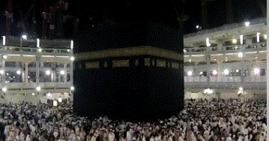 تغطية خاصة لتليفزيون اليوم السابع 