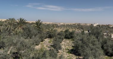 رموز من شمال سيناء: عيد تحرير سيناء يوم للنصر والتنمية.. صور وفيديو أهالى بشمال سيناء يُحوّلون مناطقهم لمزارع