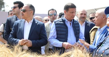 وزير الزراعة: غرف عمليات بجميع المحافظات لمتابعة حصاد القمح وتوريده