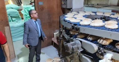 ضبط أكثر من نصف طن جبن ودقيق وأسماك وتحرير 231 مخالفة تموينية بالدقهلية