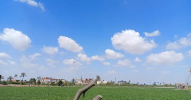 حالة الطقس اليوم السبت 26-4-2025 فى الإسماعيلية.. فيديو حالة الطقس اليوم السبت