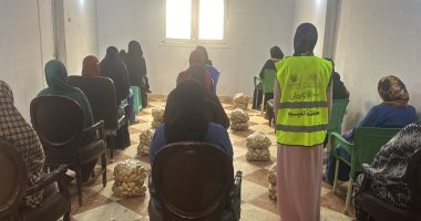 تضامن الفيوم تشرف على توزيع 45 ألف كيلو بطاطس للأسر الأولى بالرعاية