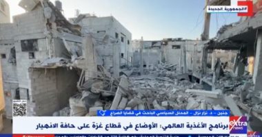 خبير فلسطينى: إسرائيل غير معنية بوقف إطلاق النار فى غزة جانب من المداخلة
