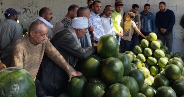 بالمزمار البلدي افتتاح مزاد بيع البطيخ في الإسكندرية.. فيديو