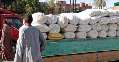 شون وصوامع الأقصر تستقبل أكثر من 1420 طن قمح منذ بداية التوريد.. صور  