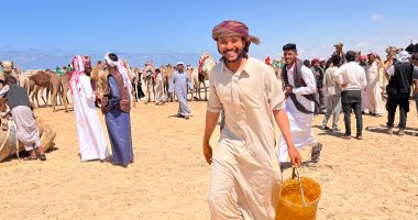 تتويج الجمال الفائزة بدهان الزعفران في سباق العريش للهجن.. فيديو سباق الهجن بالعريش