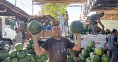 شاهد أنواع البطيخ فى أكبر شادر بقنا والأسعار تبدأ من 50 جنيها.. فيديو