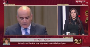 نميرة نجم: كلمة مصر أمام "العدل الدولية" ركزت على التزامات إسرائيل حيال المدنيين