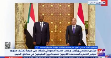 السفير أحمد حجاج: مساهمة مصر فى تعافى السودان كانت موضع بحث بين القيادتين جانب من المداخلة