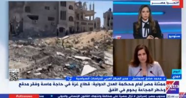 خبير: مرافعة مصرى أمام العدل الدولية فندت كل انتهاكات إسرائيل ضد حقوق الإنسان