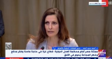 خبير: مرافعة مصر أمام العدل الدولية أحد مسارات دعم مصر للقضية الفلسطينية