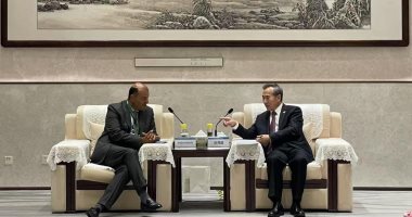 خالد حنفي: شراكة استراتيجية عربية - صينية من أجل مواجهة التحديات