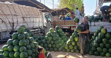 الواحدة بـ30 جنيها.. شوادر البطيخ قبلة التجار فى قنا.. صور