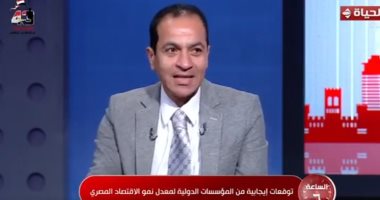 استاذ استثمار: البنك المركزى لا يفقد أى جزء من النقد الأجنبى فى تخارج استثمارى الدكتور هشام ابراهيم استاذ التمويل والاستثمار