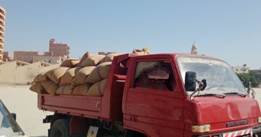 محافظ المنيا: توريد 77 ألف طن من القمح للشون والصوامع ضمن موسم حصاد 2025