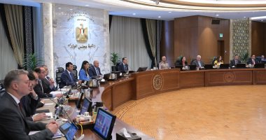مجلس الوزراء يشكل لجنة عليا لتطبيق منظومة المخاطر الشاملة للإفراج عن البضائع