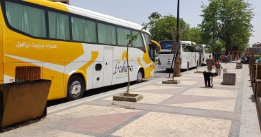 استقرار فى طقس أسوان وانتظام حركة السياحة.. لايف