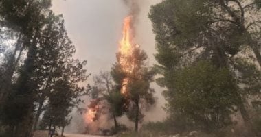الحلم نيوز : 
                                            إصابة 13 شخصا جراء الحرائق المستعرة بعدة مناطق فى إسرائيل
                                        
