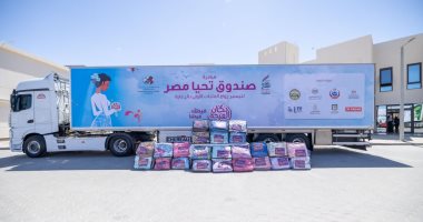 صندوق تحيا مصر" يدعم 5 آلاف أسرة وييسر زواج 200 عروسة مبادرة صندوق تحيا مصر