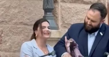 فانتينا جومير 