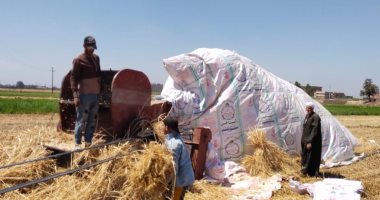 شغالين فى عيدهم وفرحانين.. عمال تفريغ القمح بصوامع القليوبية يرفعون شعار العمل لتأمين مخزون مصر من المحصول الاستراتيجى.. ويؤكدون: موسم الخير لنا وننتظره كل عام.. فرحتنا بتكمل بحصاد ما أنجزناه بعد الموسم